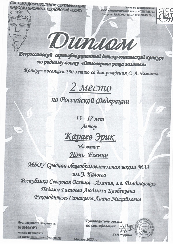 Достижения