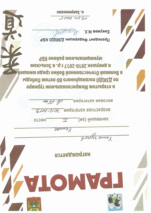 Достижения
