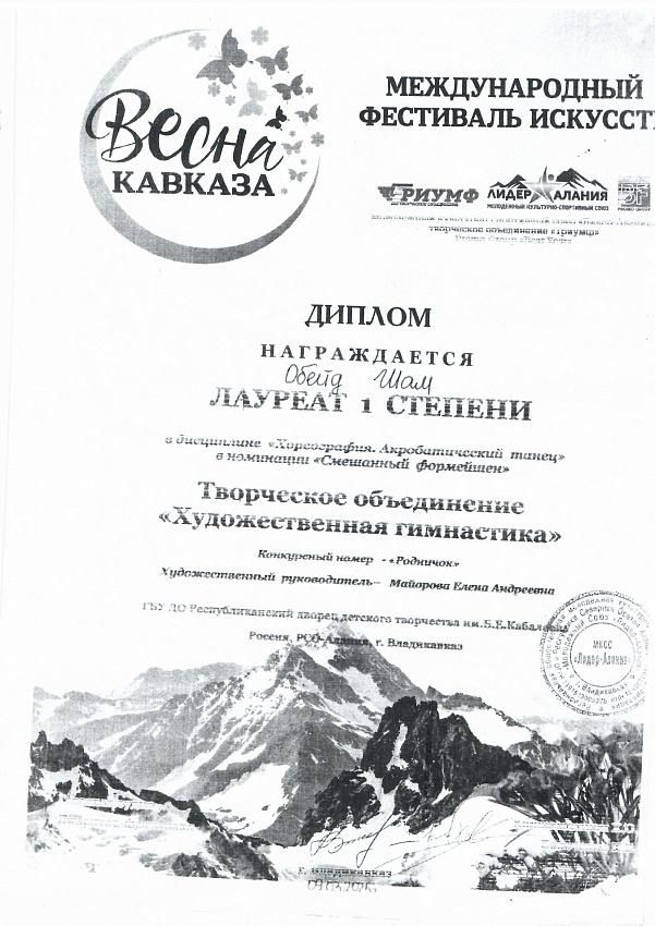 Достижения