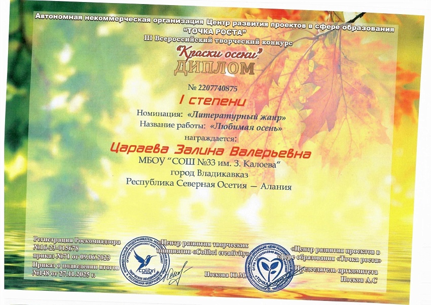 Достижения