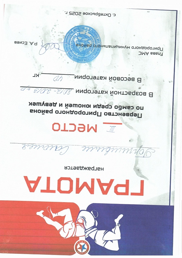 Достижения