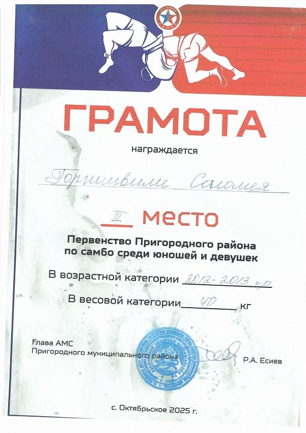 Достижения